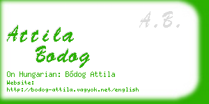 attila bodog business card